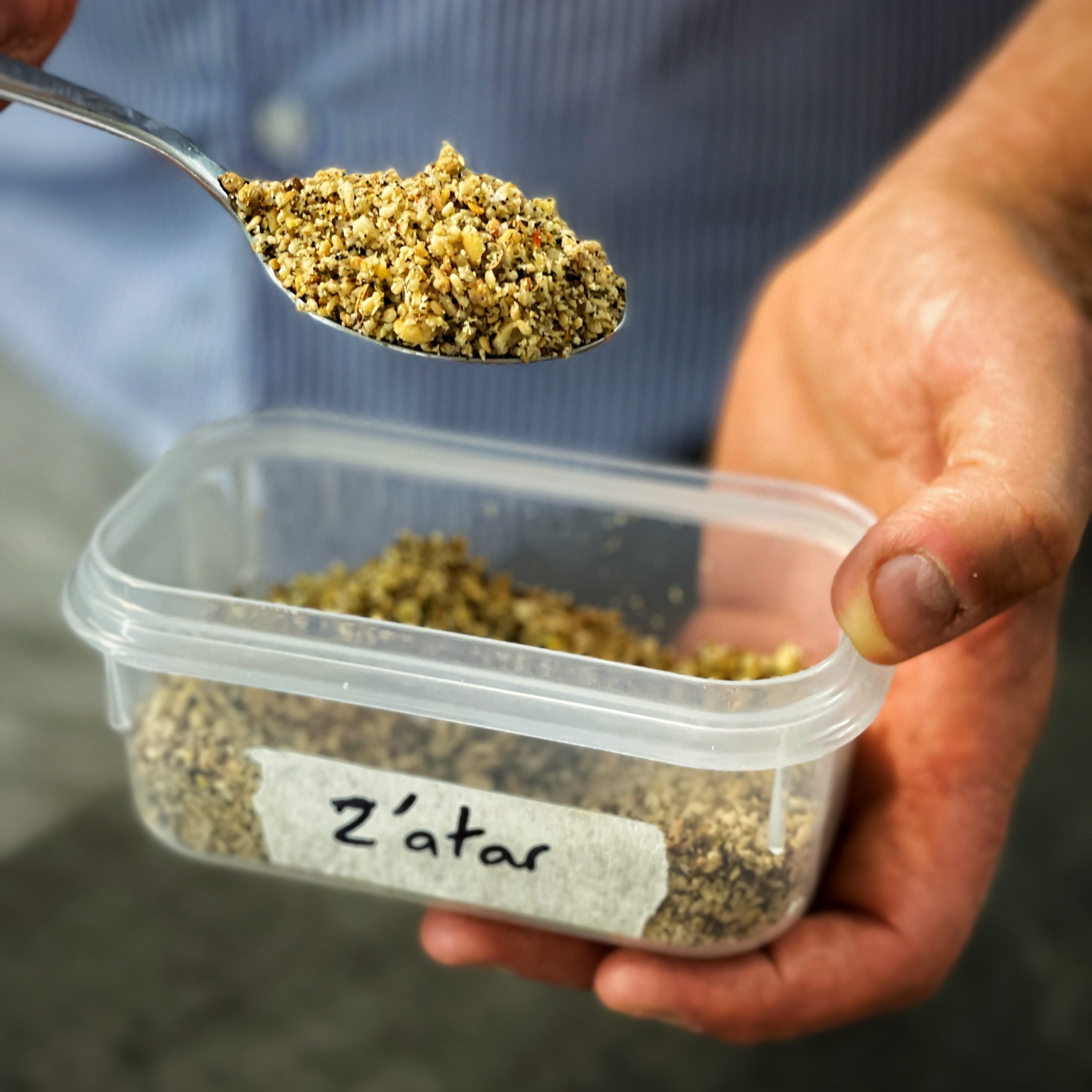 An image of Za'atar - spice mix