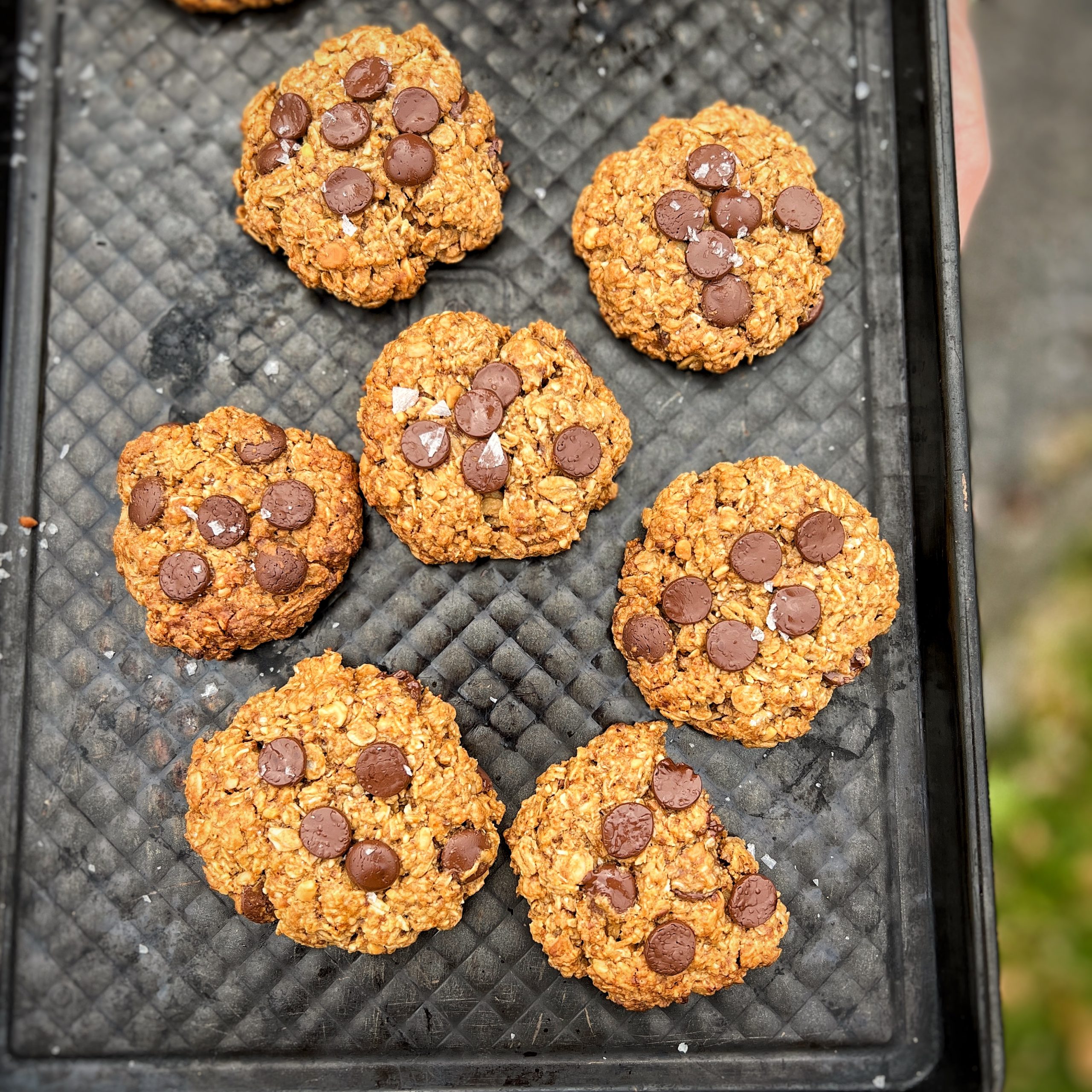 An image of Chocolate chip cookies