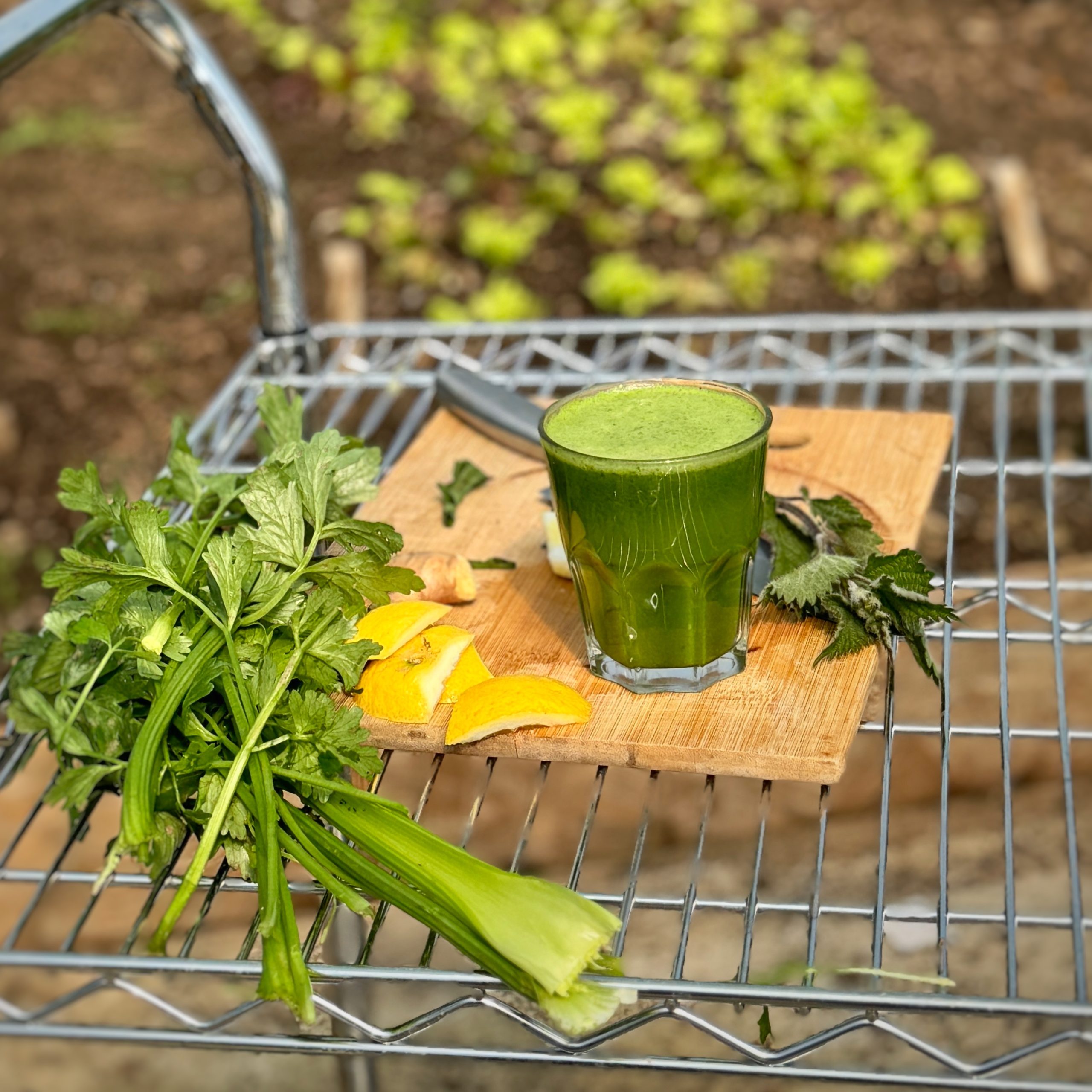 An image of Wild Nettle and Weed Juice