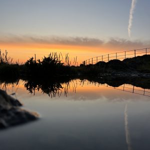 An image of Sunrise