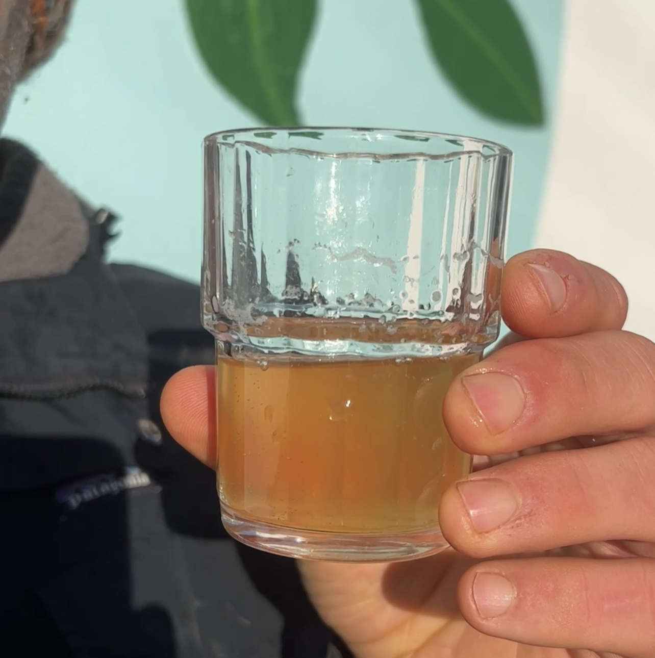 An image of Kombucha