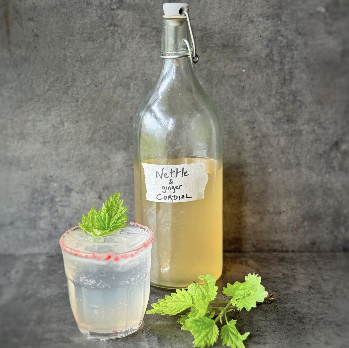 An image of Nettle & Ginger Cordial