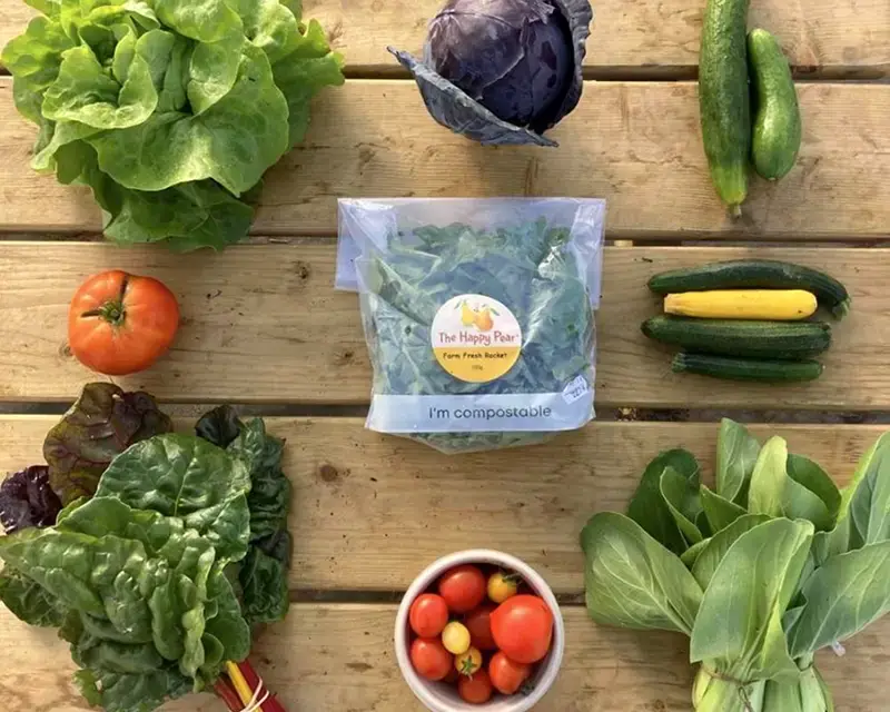 image of vegetables from the happy pear farm veg box